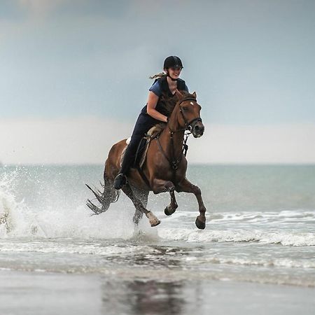 Chalet Stal Veersedam คัมเปอร์ลันด์ ภายนอก รูปภาพ